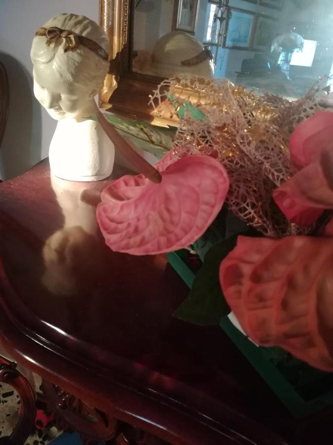 Domus Aurea Panzió Oristano Kültér fotó